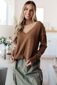 Back to Life V - Neck Sweater in Mocha