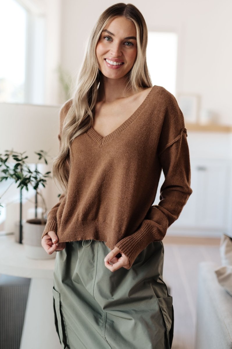 Back to Life V - Neck Sweater in Mocha