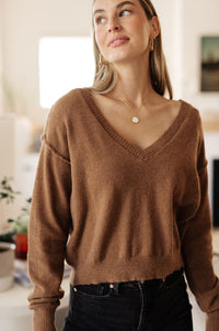 Back to Life V - Neck Sweater in Mocha