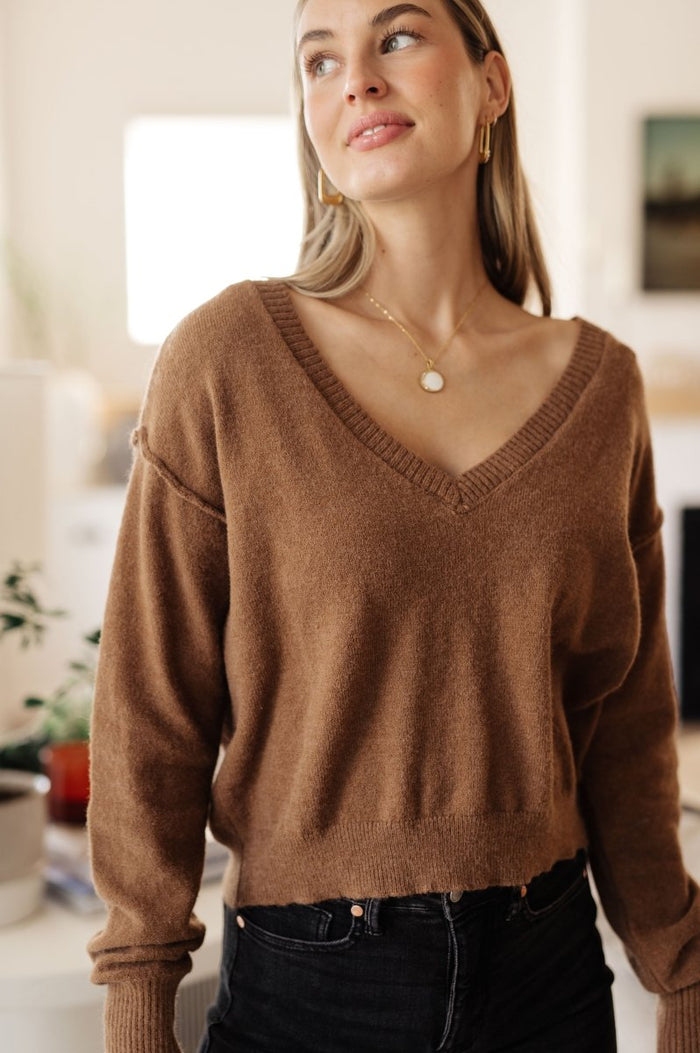 Back to Life V - Neck Sweater in Mocha