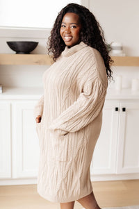 Bundled Turtleneck Sweater Dress