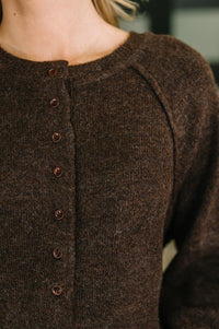 Henley Brushed Pullover in Dark Brown